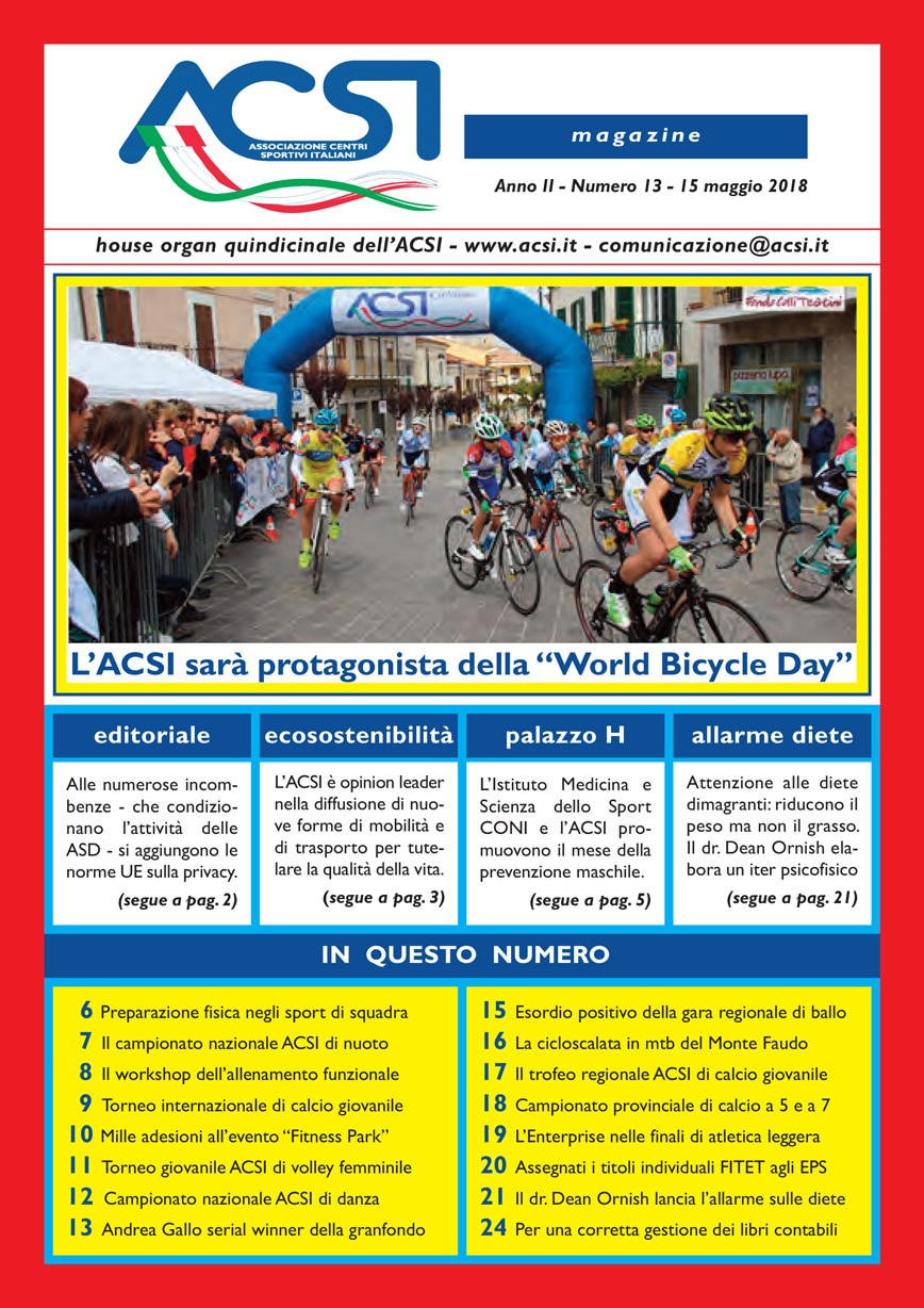 ACSI MAGAZINE 13