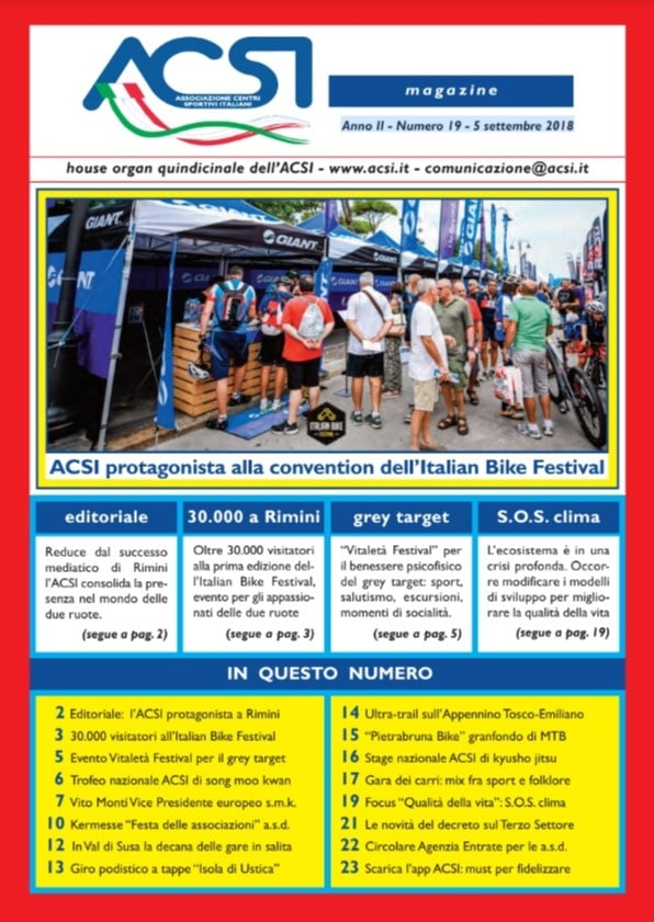 ACSI MAGAZINE 19