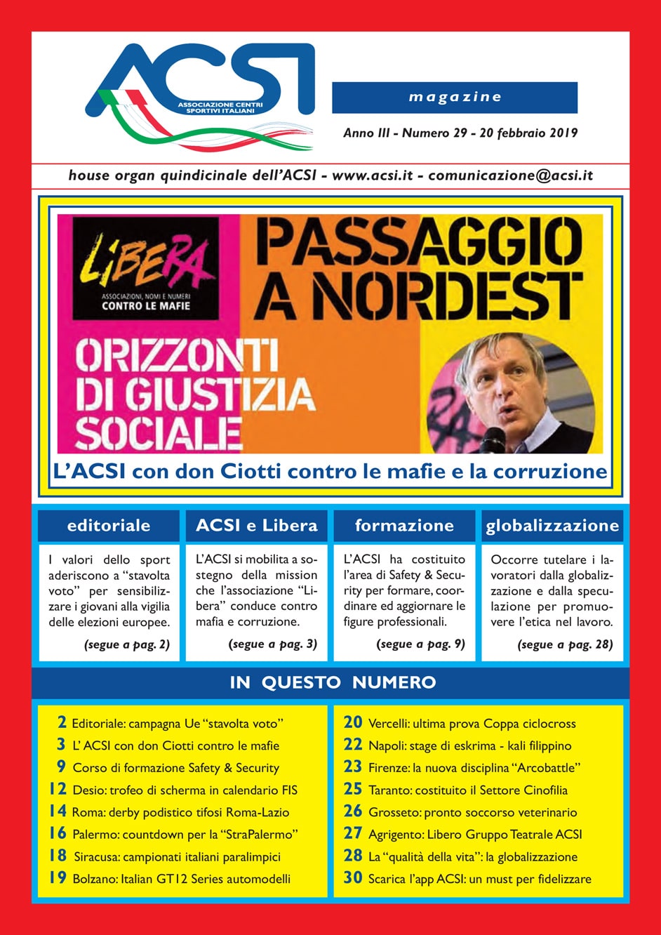 ACSI MAGAZINE 29